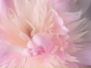 №18 Анна Шумская 13.01: профиль, фото, статус - ВКонтакте