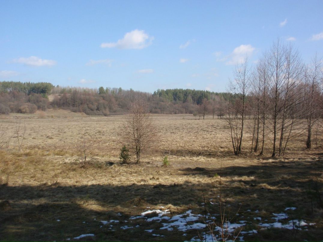 Борис Блаженний | Киев