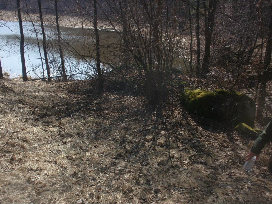 Борис Блаженний | Киев