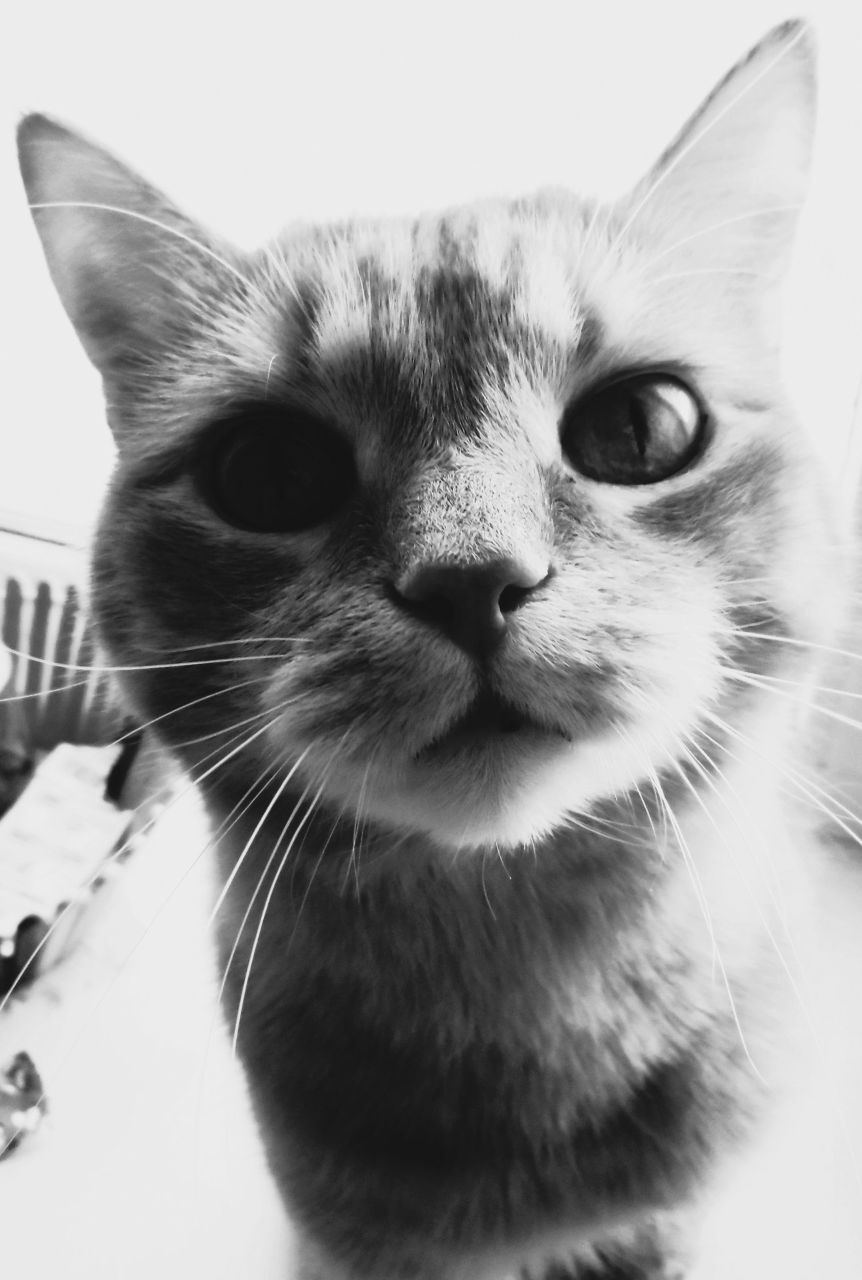 Стас Исаев ———————————————————————————————————— qweee ——————————————————————————————————— deleted_men :3———————————————————————————— | Чебоксары