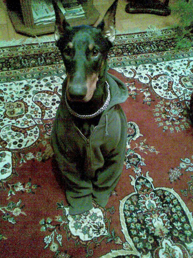 Саня Бланк | Яворов