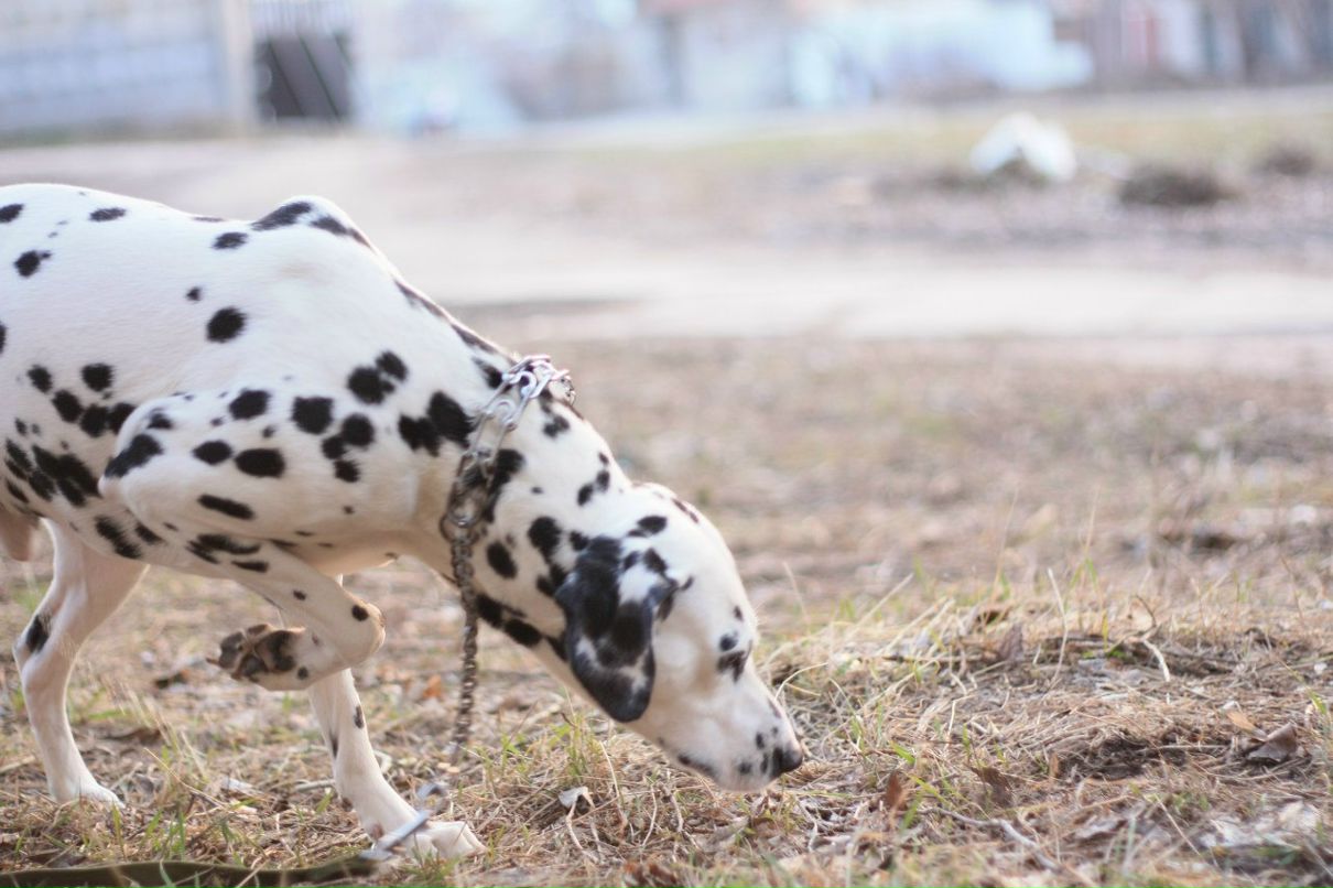 Славик Аджигитов | Москва