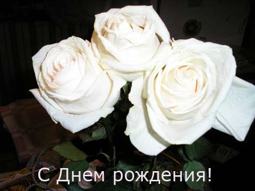 Наталия Ильющенко | Санкт-Петербург