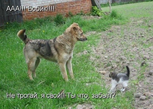 Мария Моисейчева | Киев