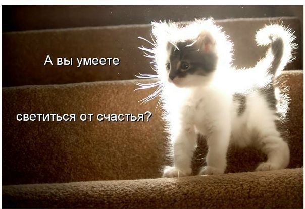 №178, Назарій Пришнівський №178, Назарій Пришнівський