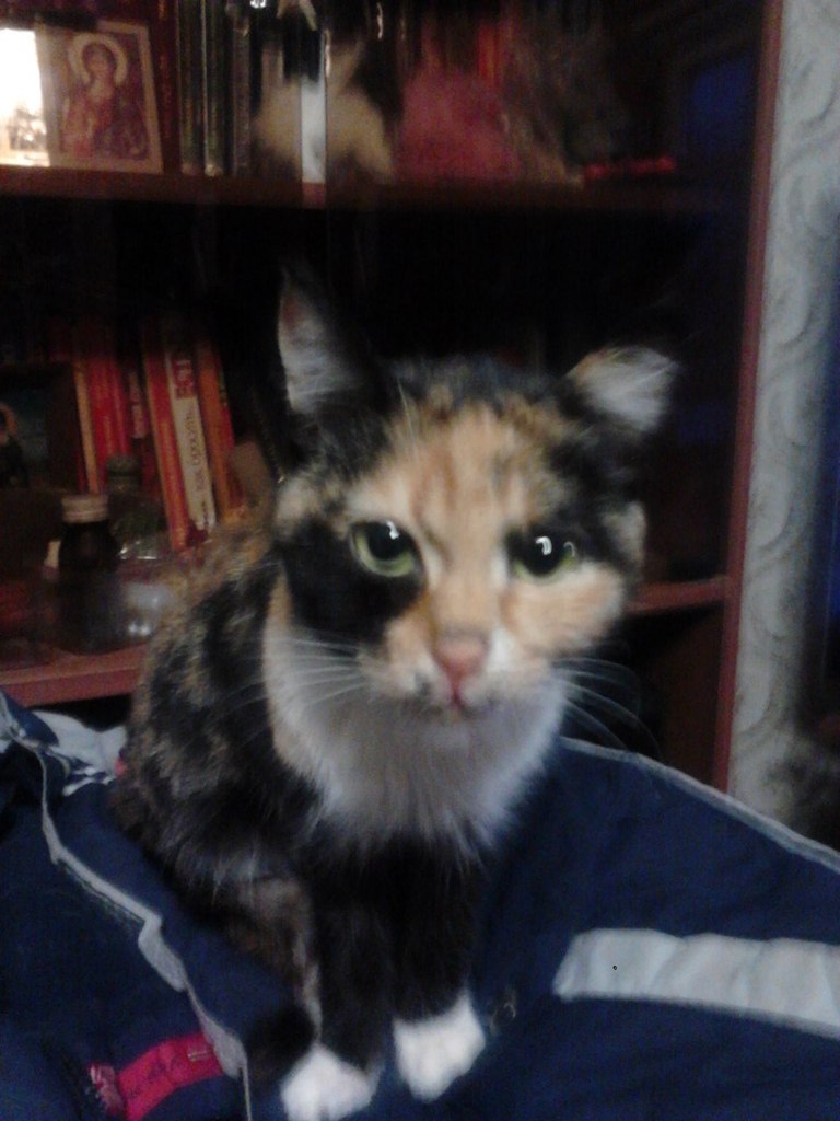 Марина Казбек | Печоры