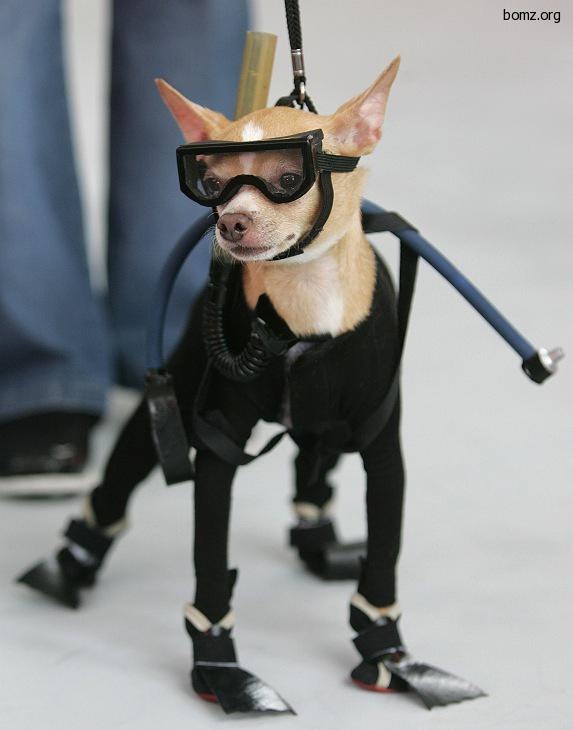 Андрей Подила Викторович | 