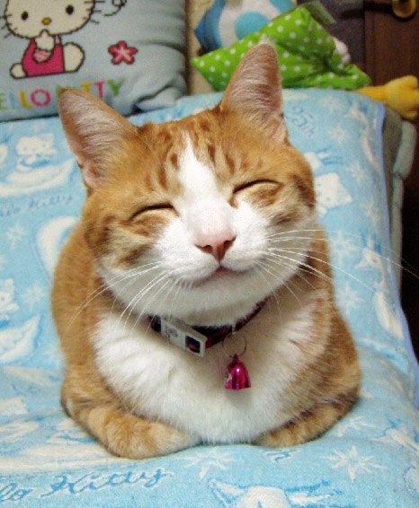 Константин Шлёмин | Петрозаводск