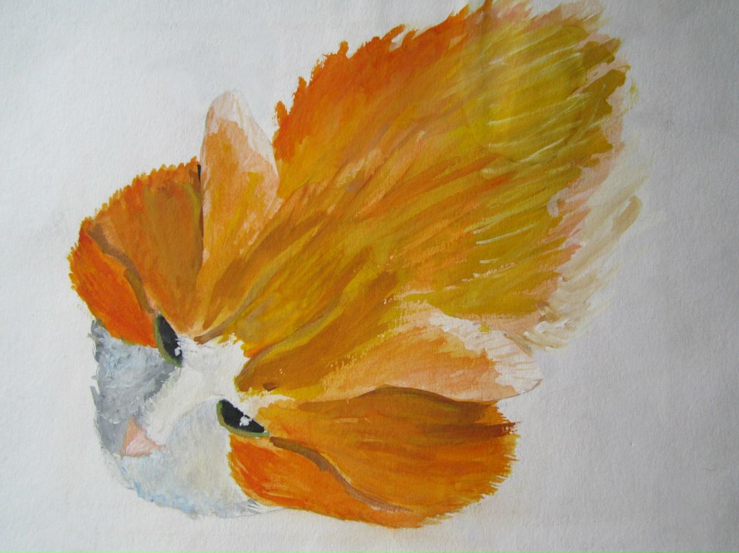 Владимир Шаповалов | 