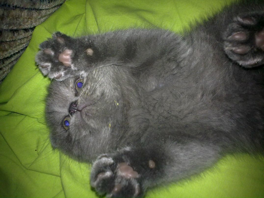 Андрей Кулаков @Real | Уфа