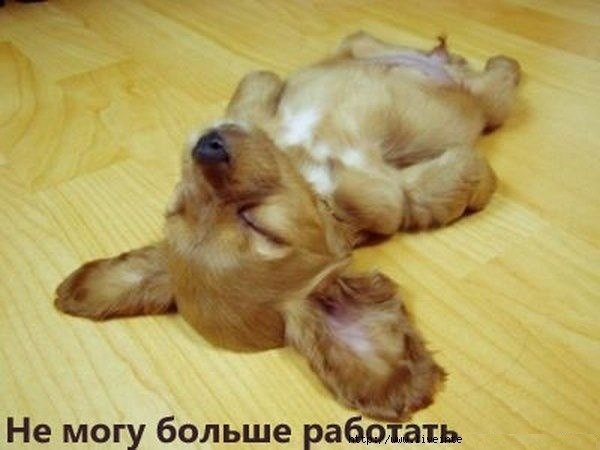 Анастасия Япрак | Минск