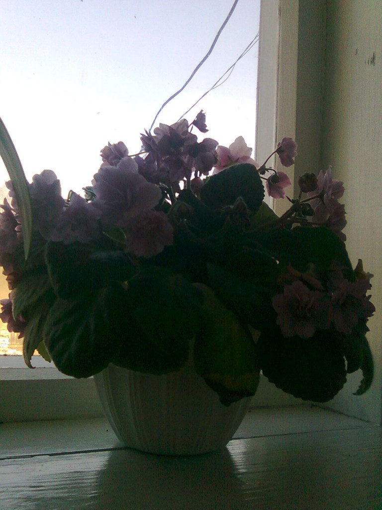 Мальвина Кудрявцева | Ижевск