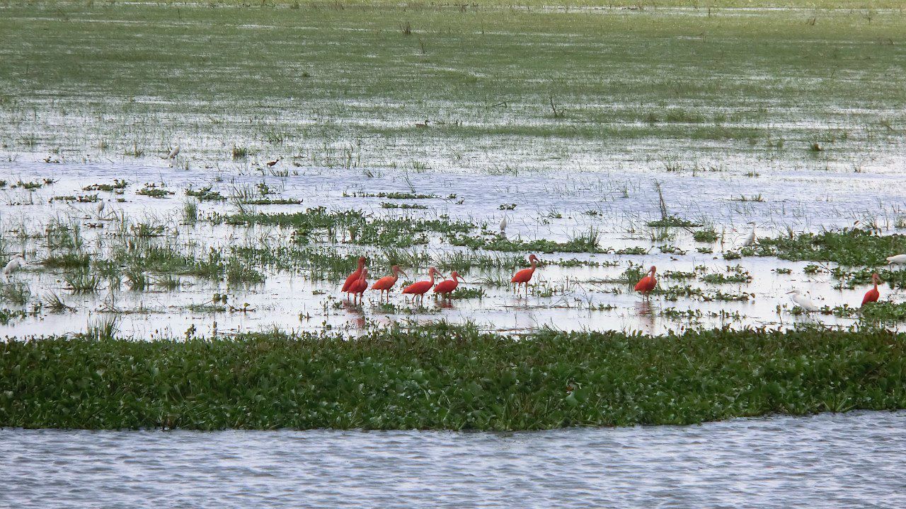 Виктория Иоаннидис | Москва
