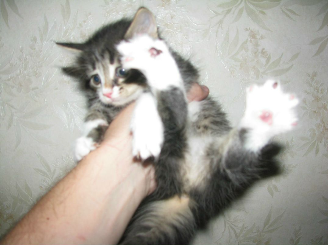 Андрей Макаров | Москва