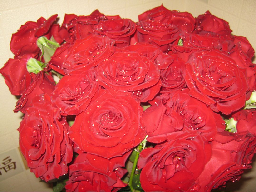 Галина Палашкевич | Ровно