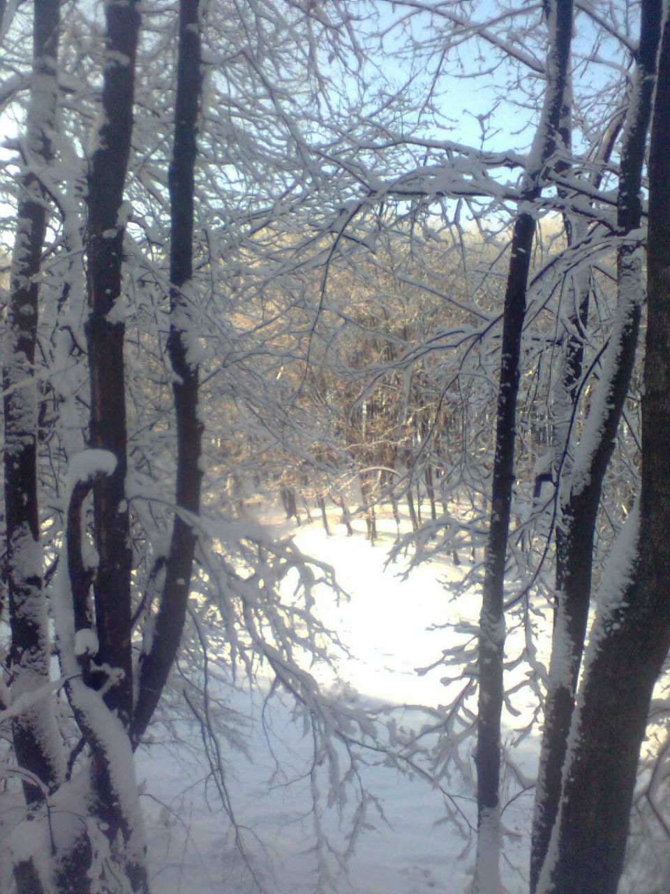 Алёна Яковлева | Луховицы