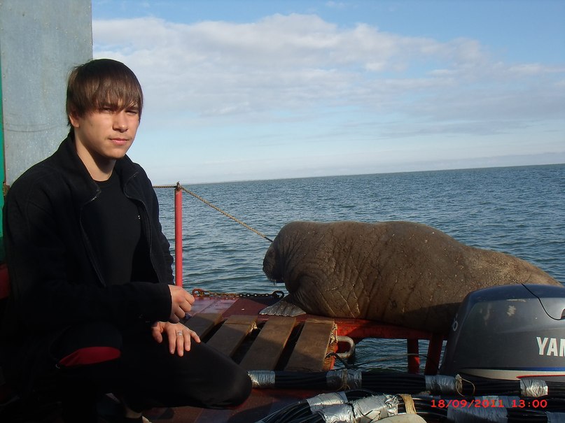 Андрей Цыганков | Ростов-на-Дону