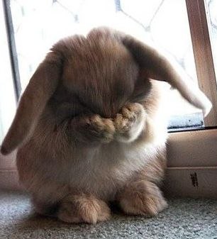 Вероника Шатохина | Новосибирск