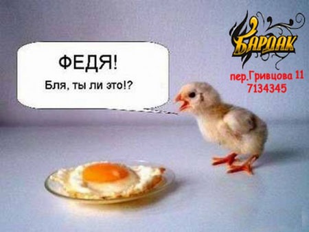 №46, №46,