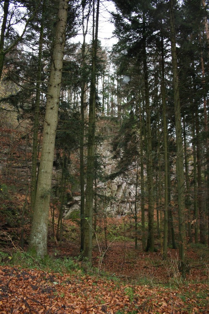 Наташа Малеева | Москва