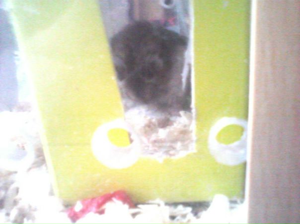 №18, Настя Брылина, Ульяновск №18, Настя Брылина, Ульяновск