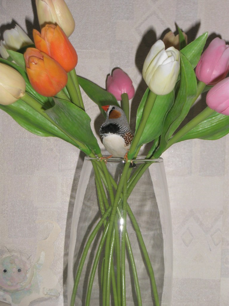 Светлана Пустовая | Киев