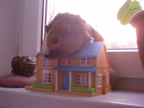 №57, Мариночка Козловская, 25 лет, Калининград №57, Мариночка Козловская, 25 лет, Калининград