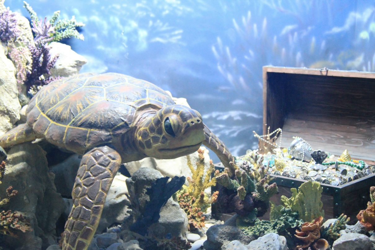 Николай Суярко | Москва