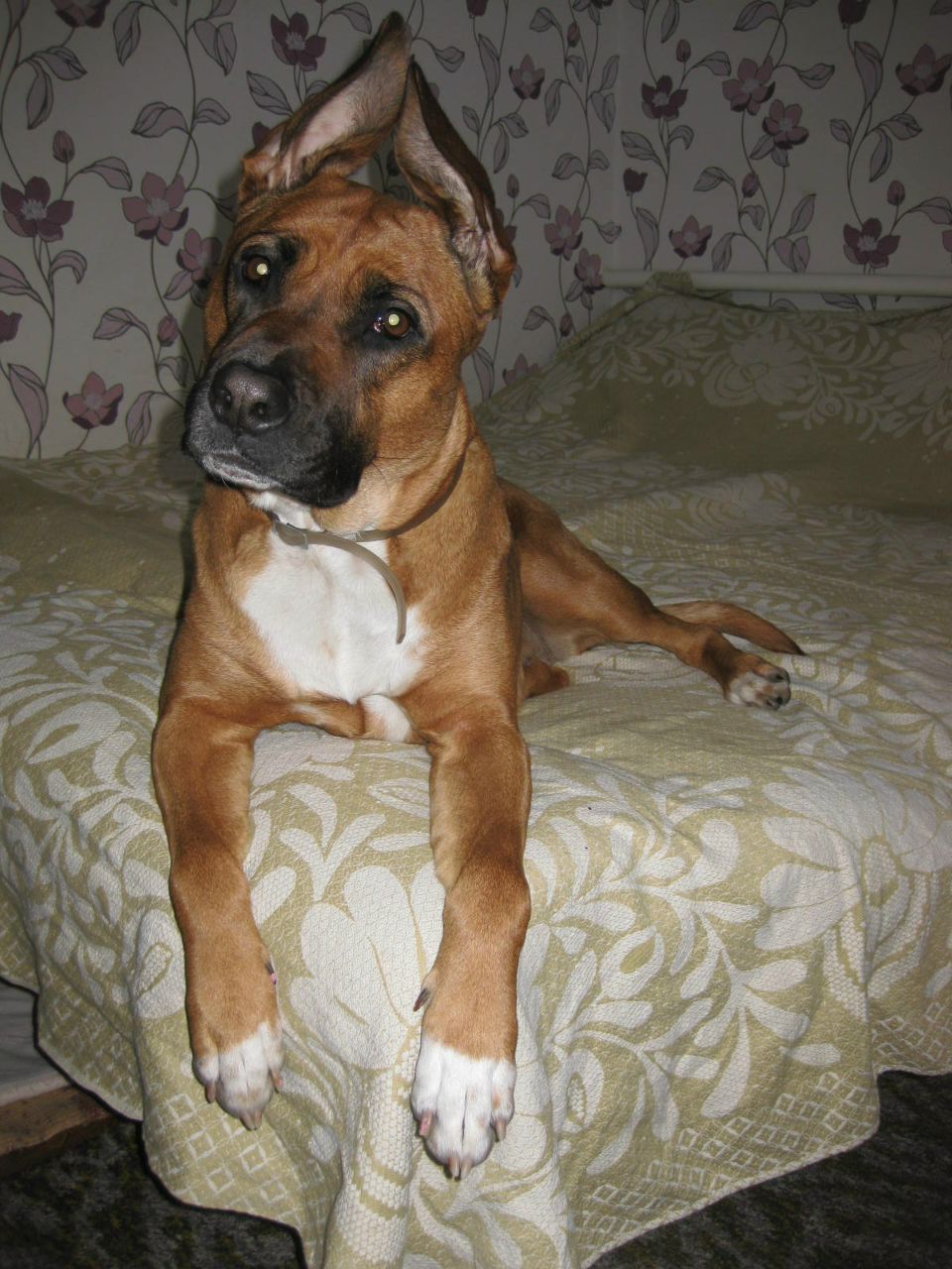 Надежда Иваницкая | 