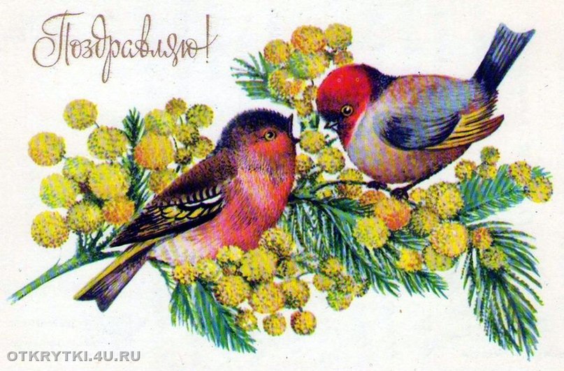 Александра Сорокина | Санкт-Петербург