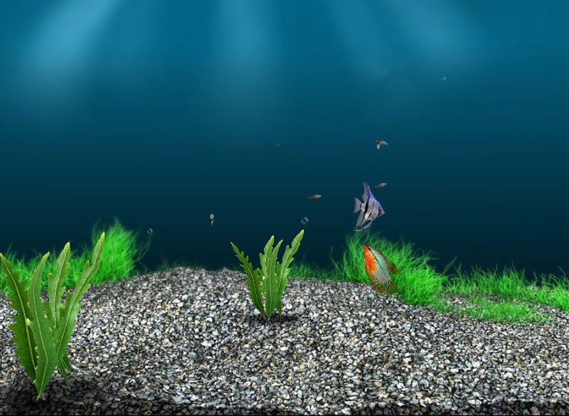 Наталья Куренкова | Москва