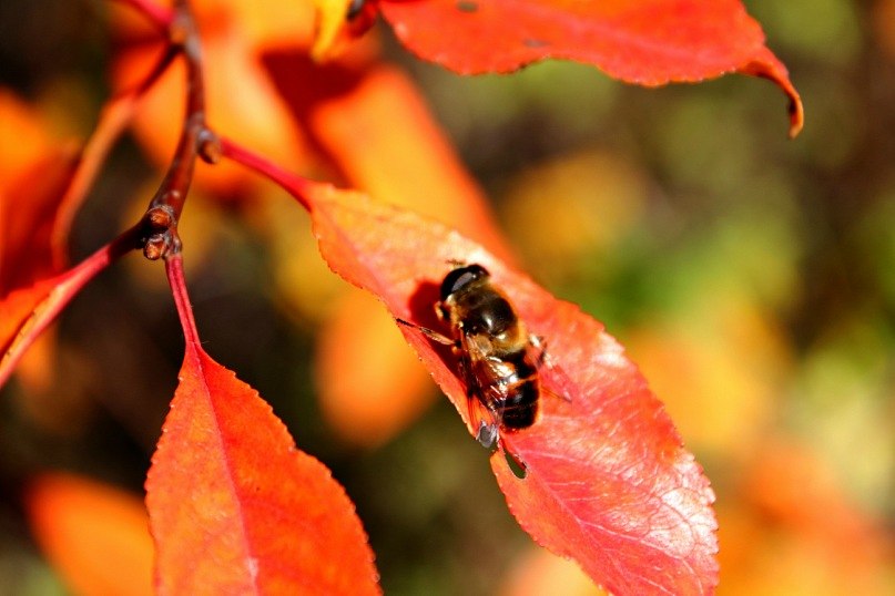 Света Александрова | Калтан