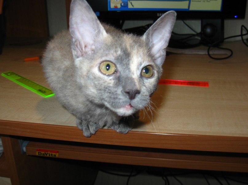 Ирина Витковская | Тобольск