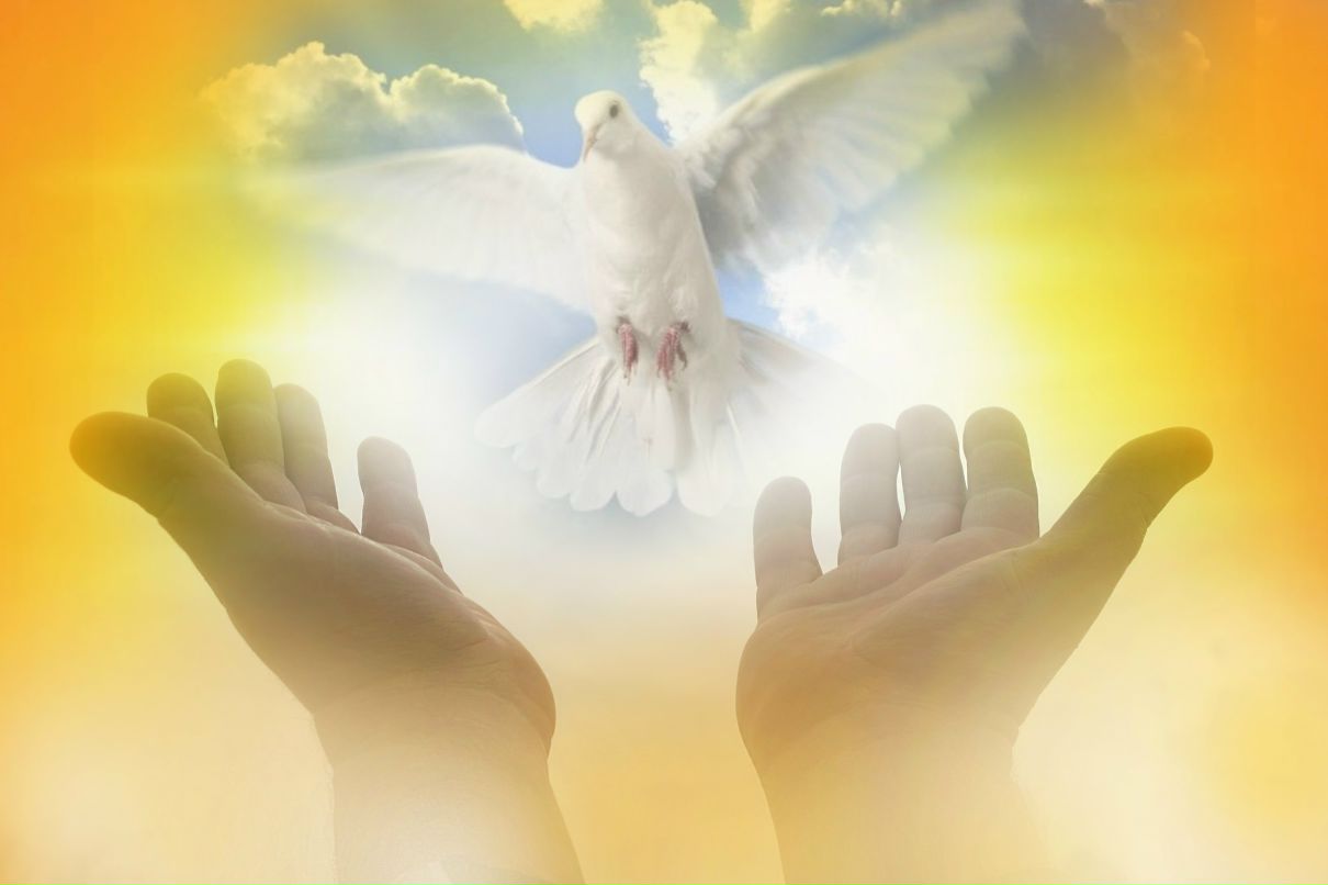 Андрей Рамих | Москва