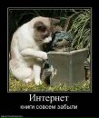 Фотография Надежда Орлова