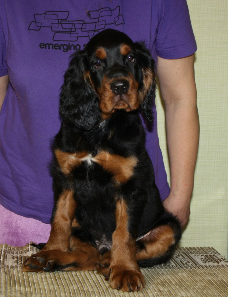 Екатерина Шалыгина | Санкт-Петербург