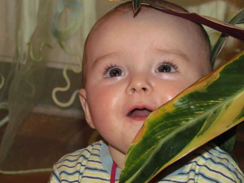 Інна Ерзак | Славута