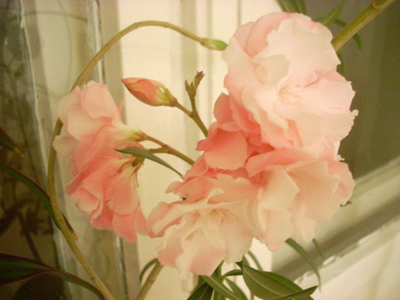 Альмира Магдиева | Набережные Челны