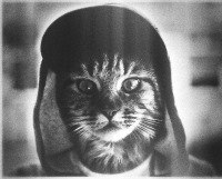 Евгений Королев | Москва