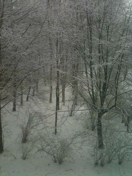 №80, Андрей Сорокин, Санкт-Петербург, Россия №80, Андрей Сорокин, Санкт-Петербург, Россия