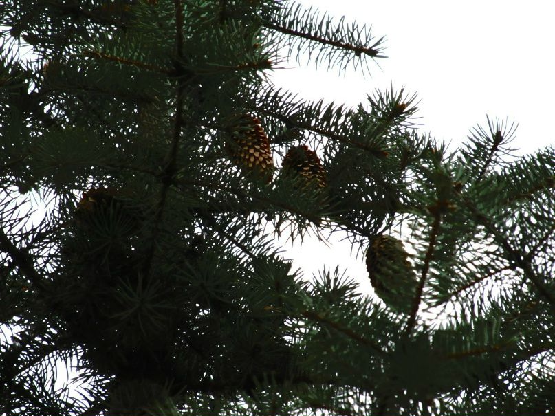 Виктор Заяц | Мариуполь