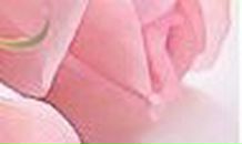 Анна Береснева | Черновцы