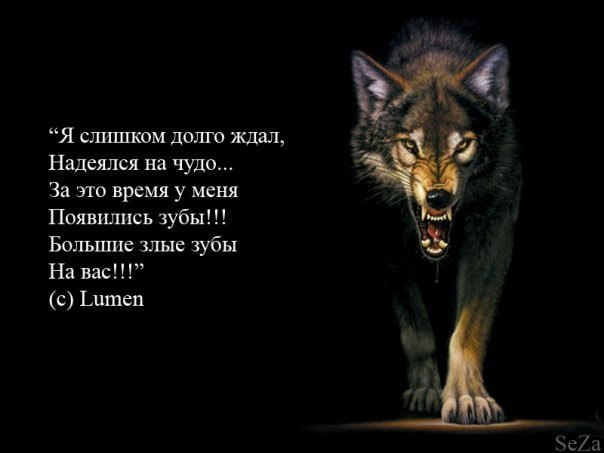 Игорь Цыгичко | Харьков