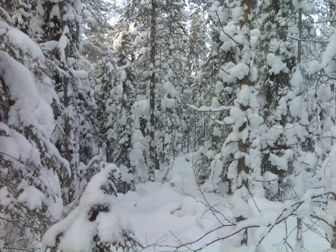 Айли Иванова | Таруса