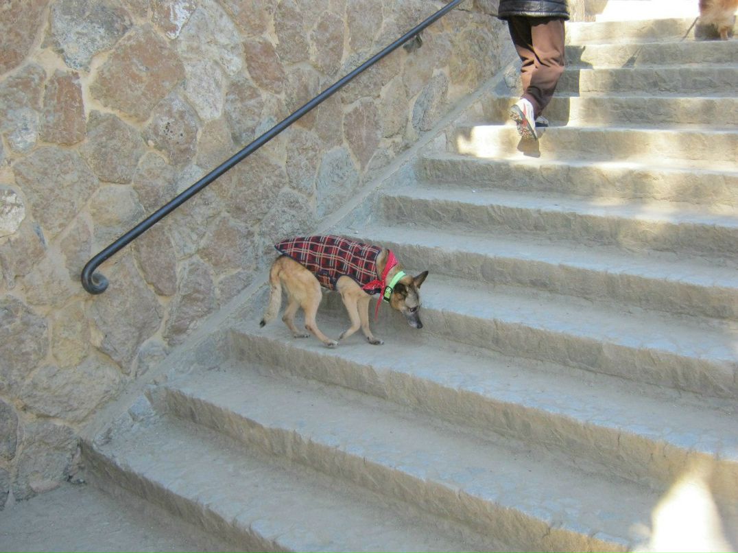 Евгений Козырин | Екатеринбург