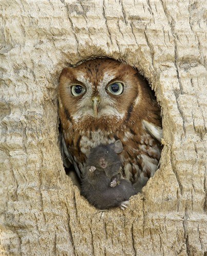 Юля Гейда | Москва