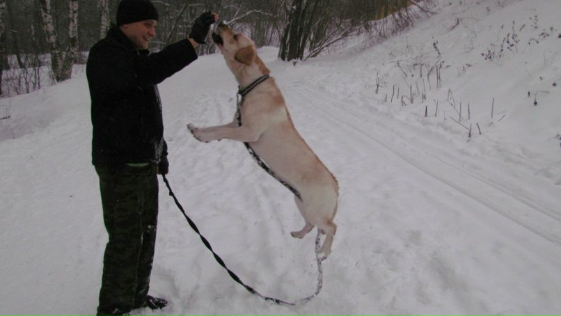 Николай Быков | Москва