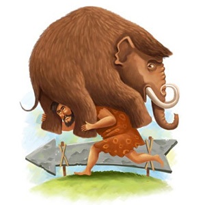 №11, Андрій Зелінка, Тернополь №11, Андрій Зелінка, Тернополь