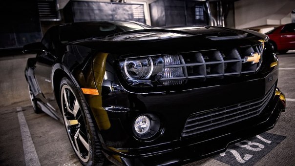 №180, Инна Шутько, Днепр (Днепропетровск) №180, Инна Шутько, Днепр (Днепропетровск)