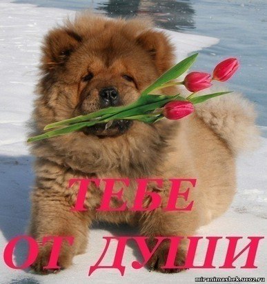 Алла Вильховченко | Луганск